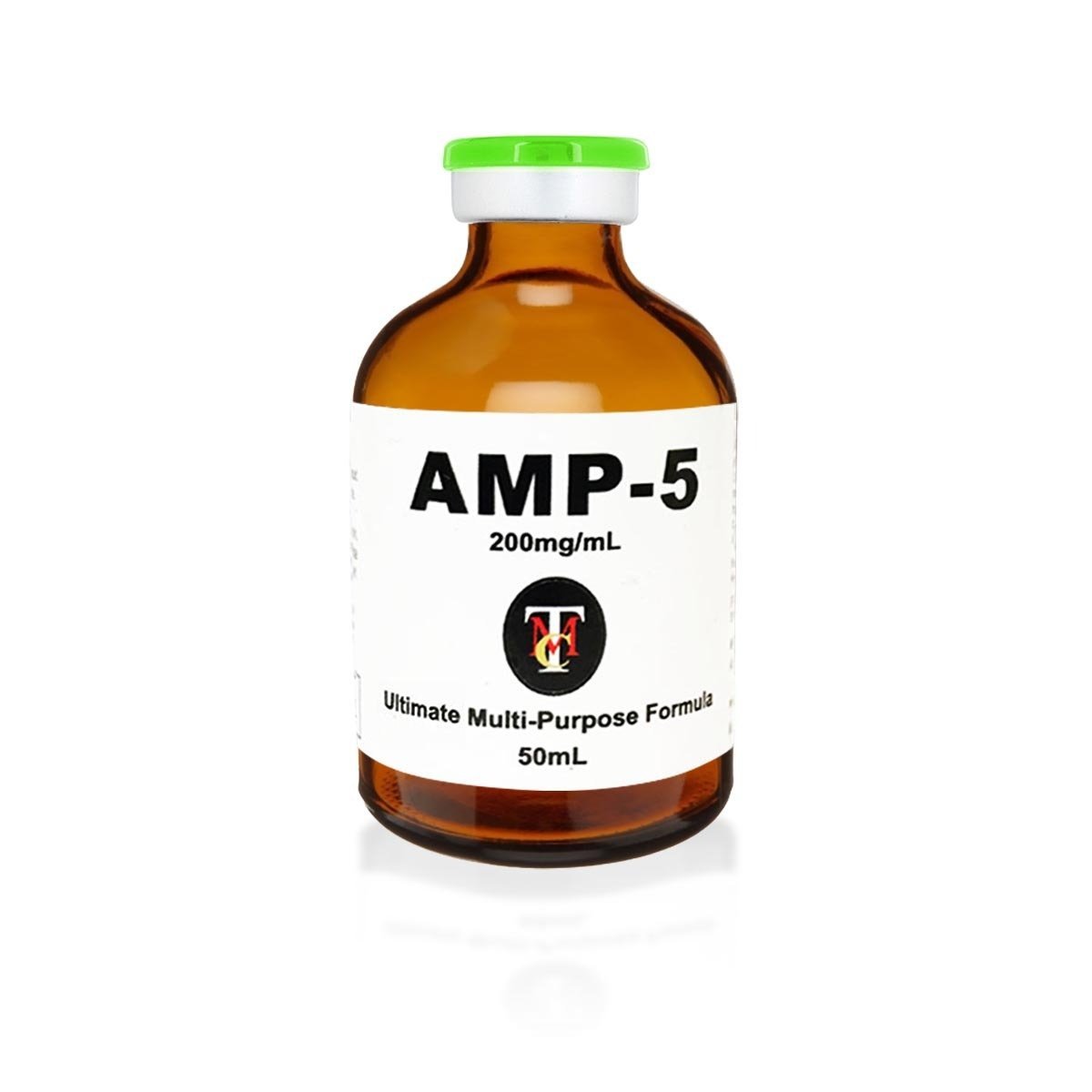 AMP5_rev3.jpg