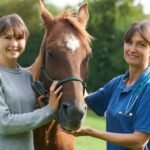 Buy Growth Hormones Boosters For Horse Online