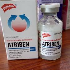 Buy Atriben x 20ml For Horse