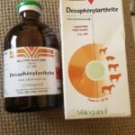 Dexaphenylarthrite Injection for Horses & Camels – Fast Global Shipping