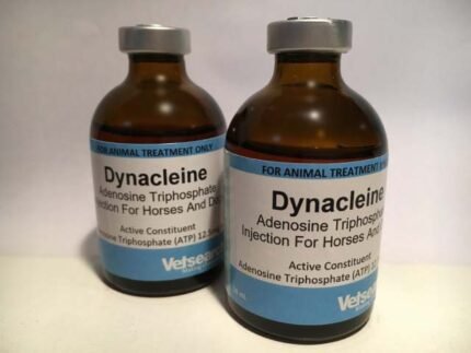 Buy Dynacleine Injection Online - Order Dynacleine Injection