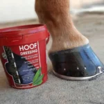 Buy Kevin Bacon`s Hoof Dressing Online
