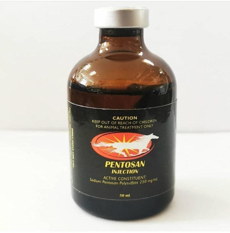 Pentosan-Injection-1-e1630326066.jpg