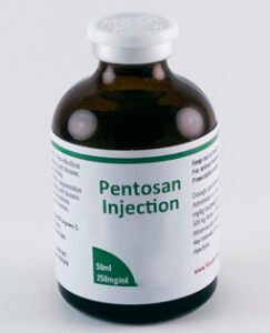 Buy Pentosan Injection – Trusted Equine Mobility & Recovery Solution | Equines Meds