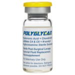 Buy Polyglycan for Dogs Online