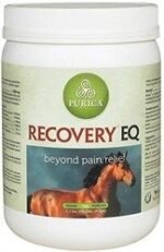 Buy Recovery EQ Powder – Trusted Equine Supplement for Performance & Recovery | Equines Meds