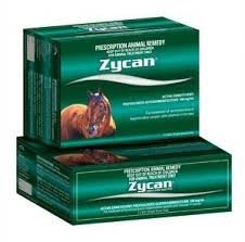 Zycan