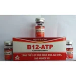 ATP/UTP B12 Injection | Equines Meds – Energy & Recovery Booster for Horses