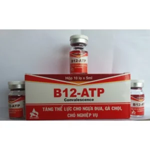 ATP/UTP B12 Injection | Equines Meds – Energy & Recovery Booster for Horses