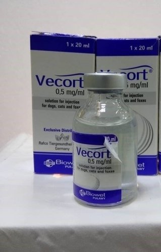 VECORT