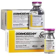 DORMOSEDAN INJECTABLE